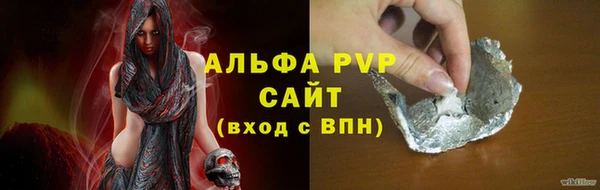 хмурый Белокуриха