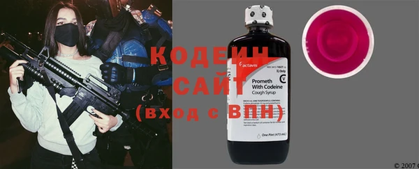 хмурый Белокуриха