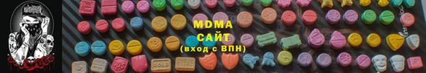 дмт Болотное