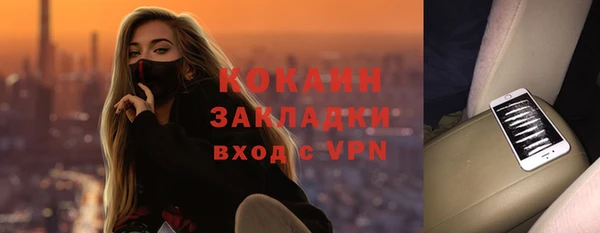 хмурый Белокуриха