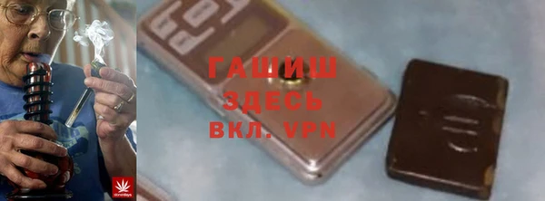 хмурый Белокуриха
