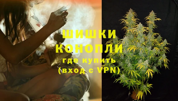 хмурый Белокуриха