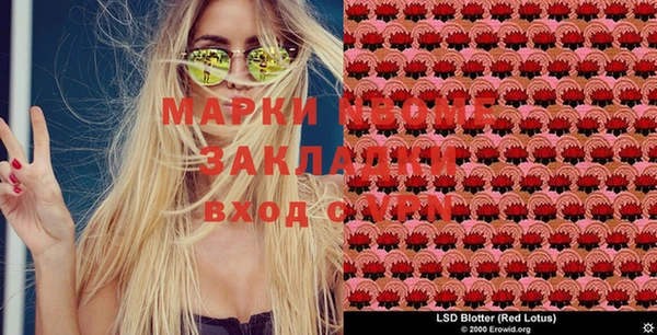 хмурый Белокуриха