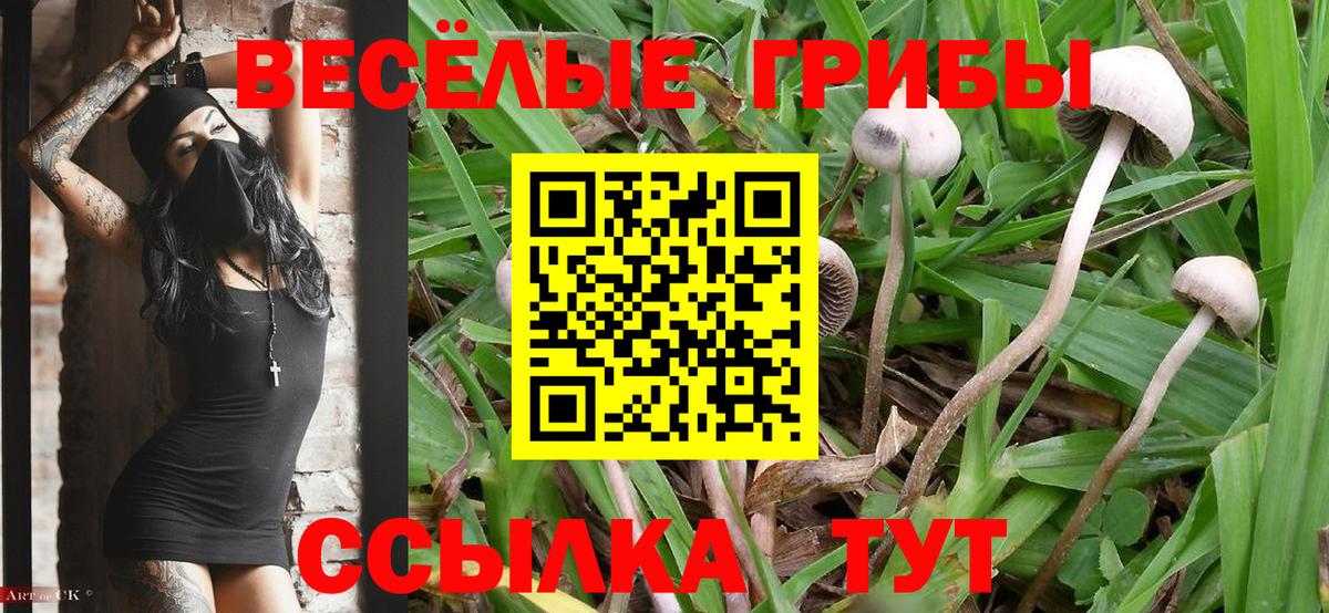 Галлюциногенные грибы ЛСД  Зима 