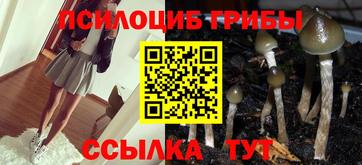 Зима  наркотики  Вход с VPN  Псилоцибиновые грибы мухоморы 