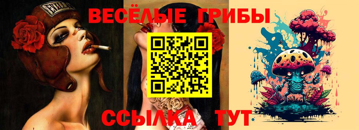 Галлюциногенные грибы Magic Shrooms Зима