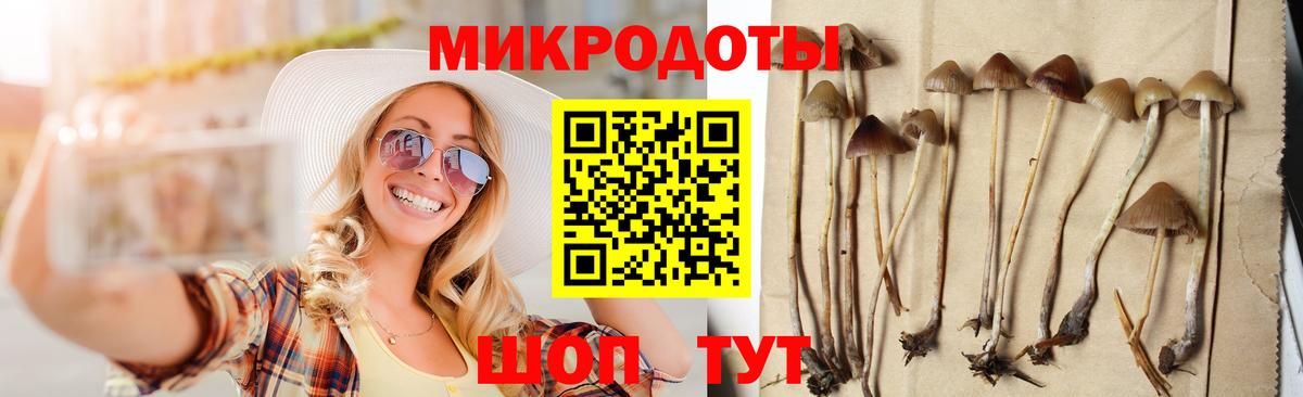 Псилоцибиновые грибы Psilocybine cubensis Зима